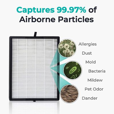 産業湿気の蜜蜂の巣のエア フィルター/活性炭HEPAフィルター